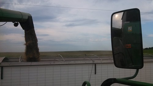 Emma: Unloading Oats