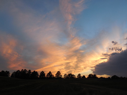 Beautiful sunset over the field