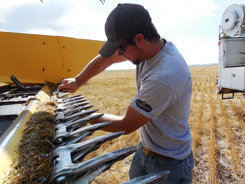 Kasey fixing a sickle