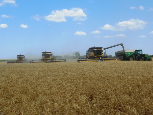 3 combines together!