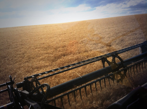 Z Crew: No More Cutting On the Ground