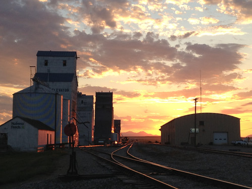 Z Crew: Elevator Sunset