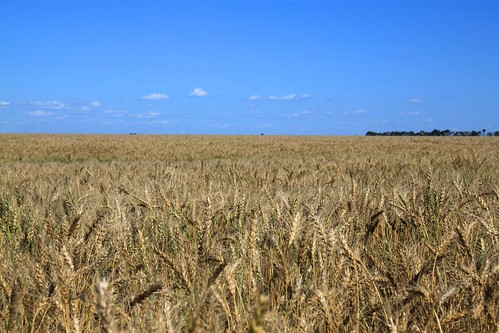 This one's a little closer!