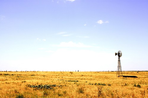 My windmill obsession. I forgot to share this one.