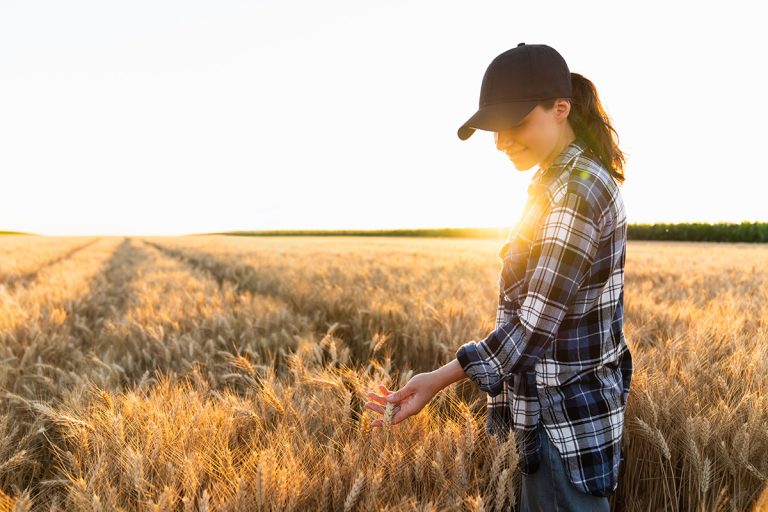 Woman farmer touches the ears of wheat on an agricultural field. (Adobe Stock │ #560983445 - scharfsinn86)