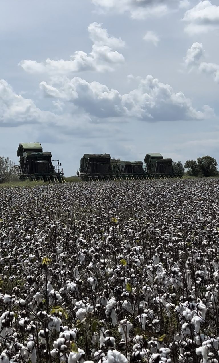All Aboard Harvest