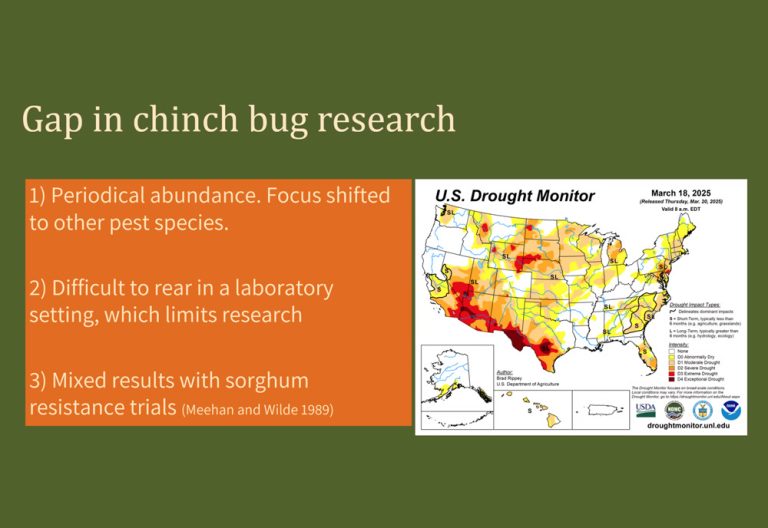 Chinch bug research objectives.