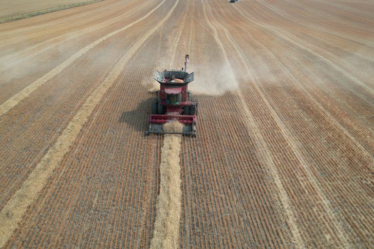 All Aboard Harvest