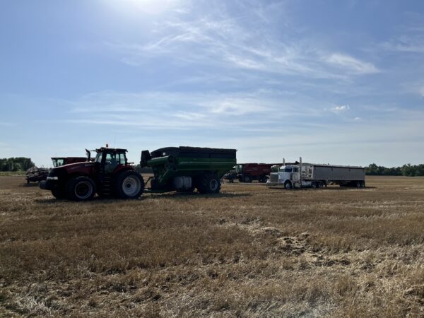 Tom being pulled out of a soft spot by the grain cart. 