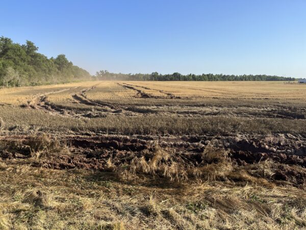 Deep tracks made by Kingfisher, Oklahoma.
