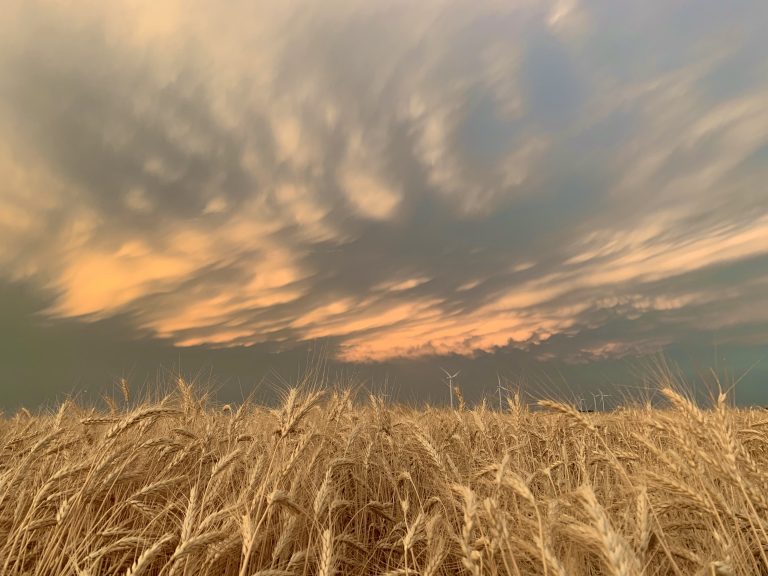 All Aboard Harvest