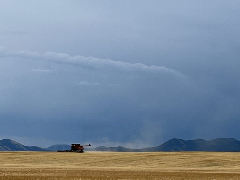 All Aboard Harvest