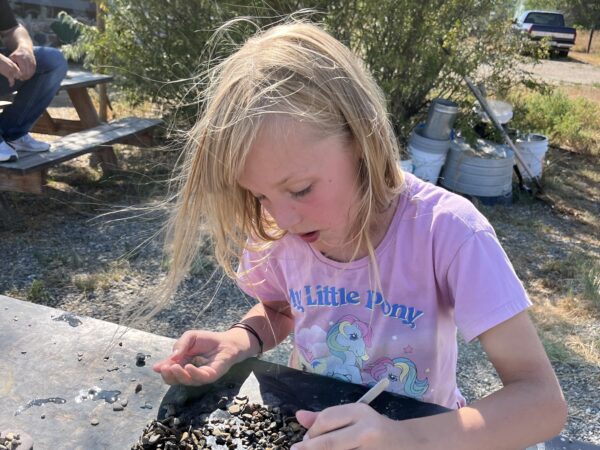 Zoey searching for sapphires in Helena. 