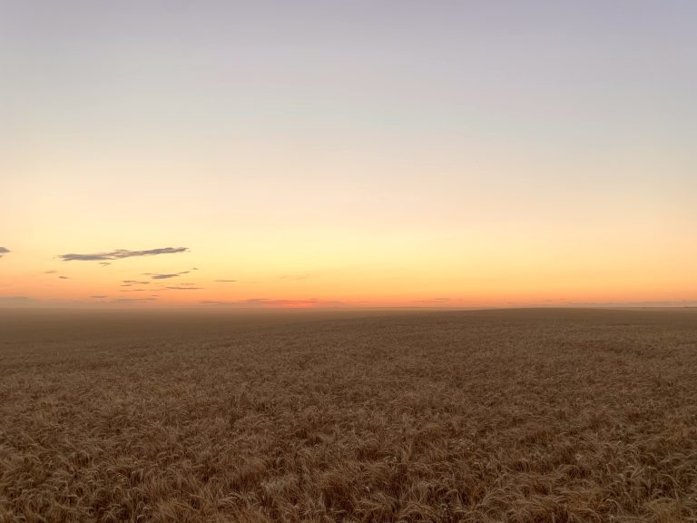 All Aboard Harvest