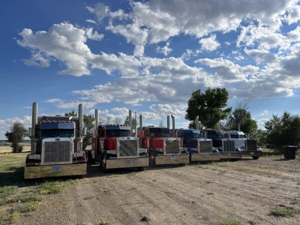 With a little rain delay, the guys had time to make our bumpers shine again. The grasshoppers are here in droves and really cover them. 