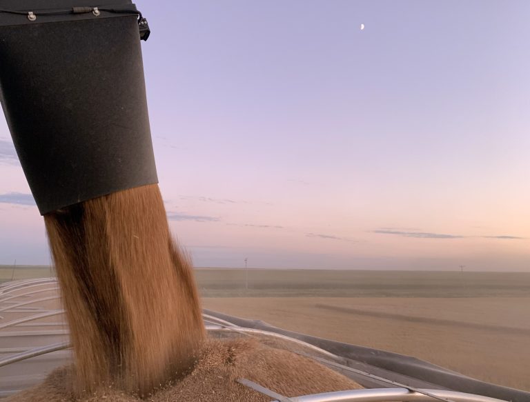 All Aboard Harvest