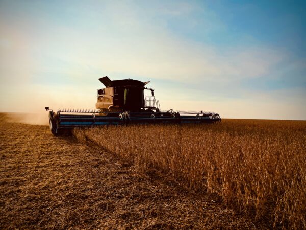 Beans have been cutting well. These are earlier than most everything else in this area.
