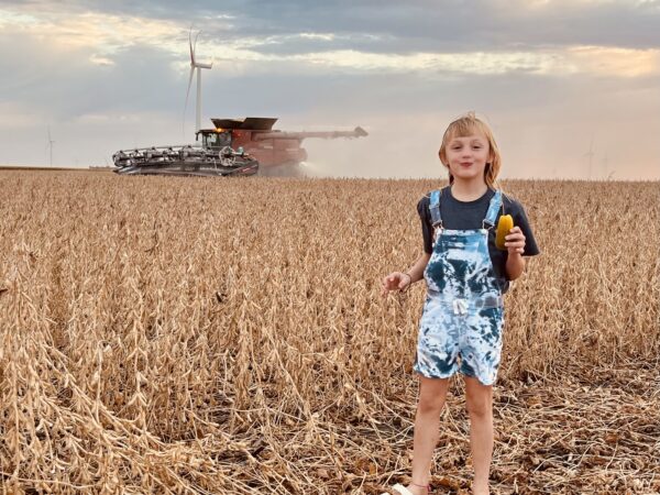 I don't think the picture really does these beans justice, but they are so tall. This is the field where beans averaged 84 bushels per acre, and yes, Zoey is eating a pickle. 