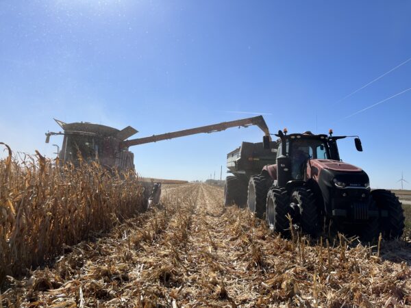 Great weather by Hartley, Iowa for fall harvest. 