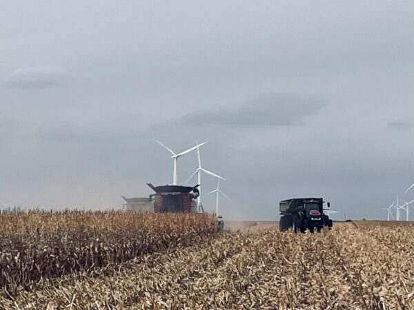 Hoping to see some sunshine again in the fields here soon.