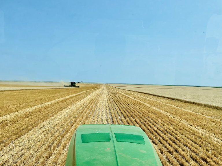 All Aboard Harvest