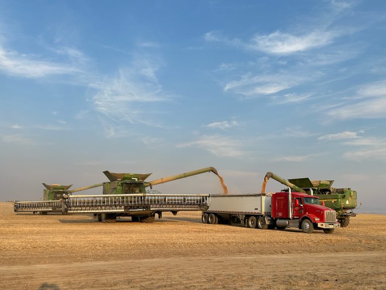 All Aboard Harvest
