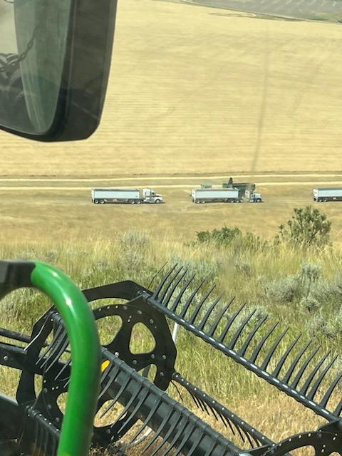All Aboard Harvest