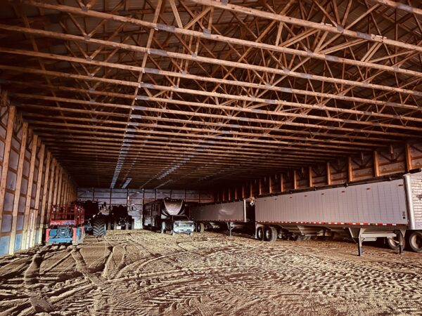 Still lots of space available in the new shed. 