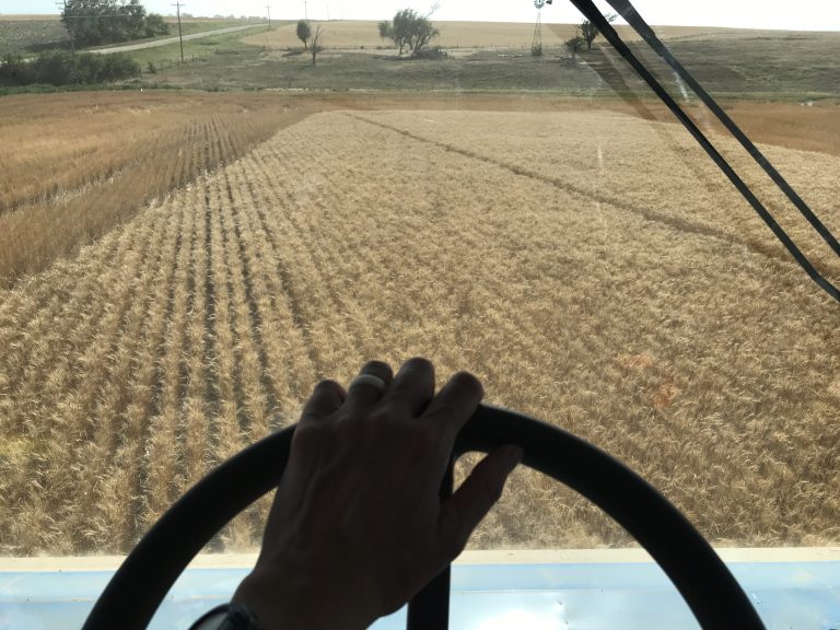 All Aboard Harvest