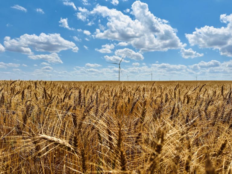 All Aboard Harvest