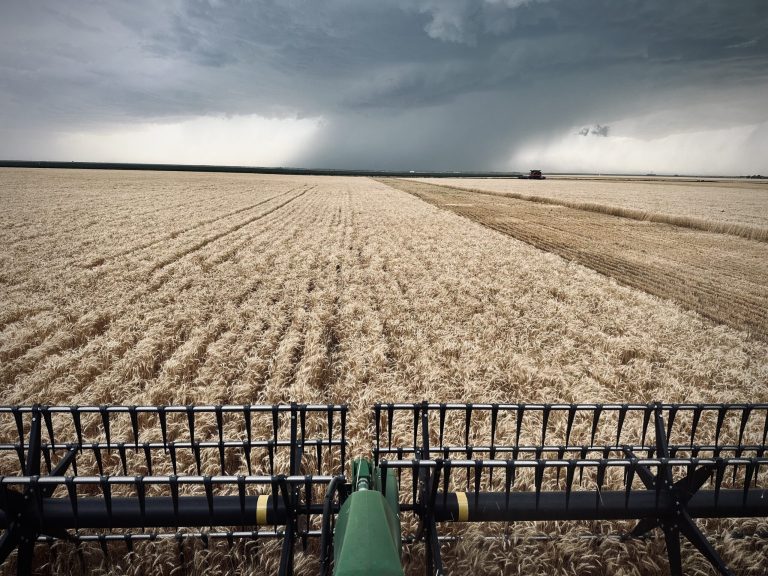 All Aboard Harvest