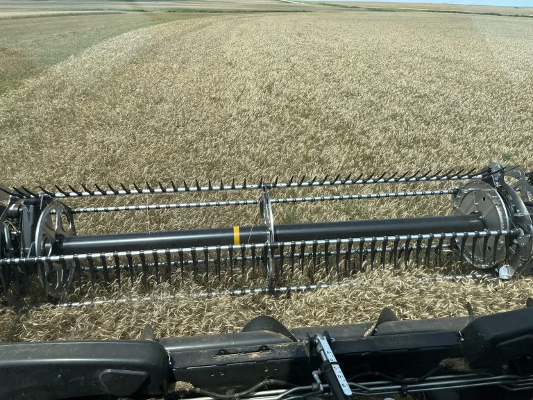 All Aboard Harvest