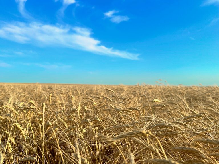 All Aboard Harvest