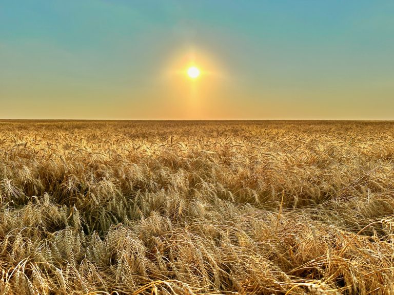 All Aboard Harvest