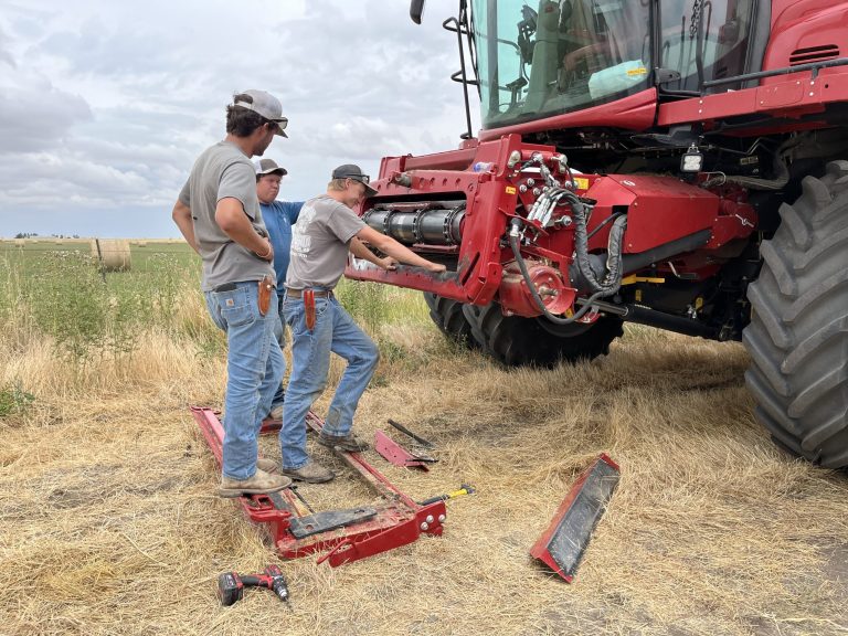 All Aboard Harvest