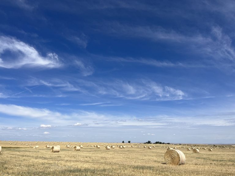 All Aboard Harvest