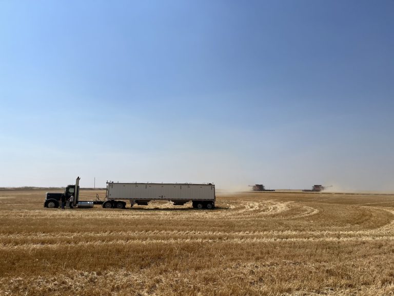 All Aboard Harvest