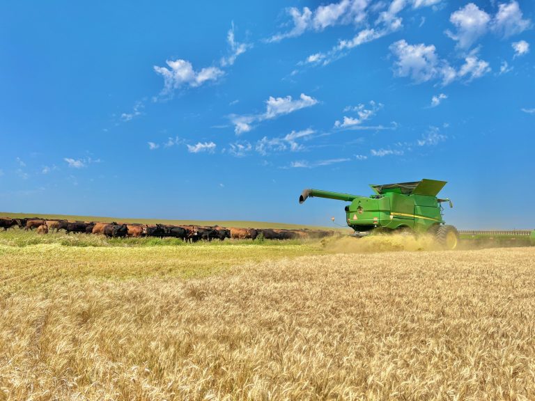 All Aboard Harvest