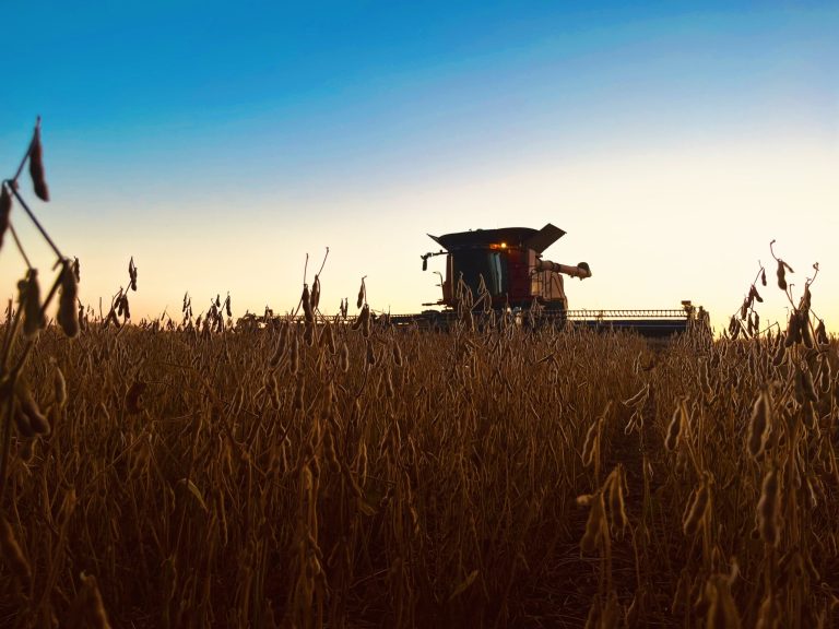All Aboard Harvest