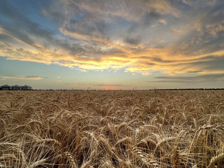 All Aboard Harvest