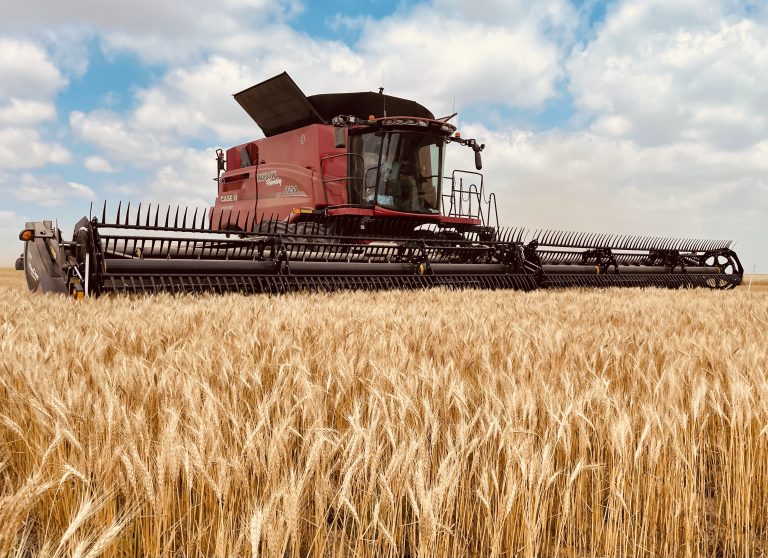 All Aboard Harvest