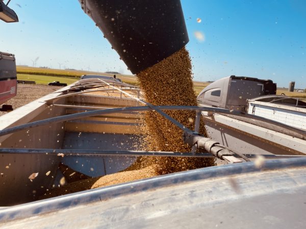 Round Lake, Minnesota