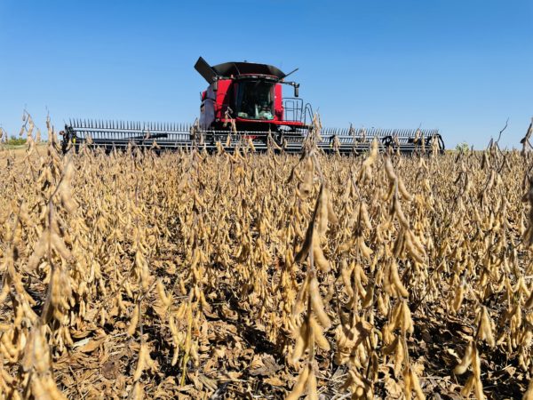 Round Lake, Minnesota