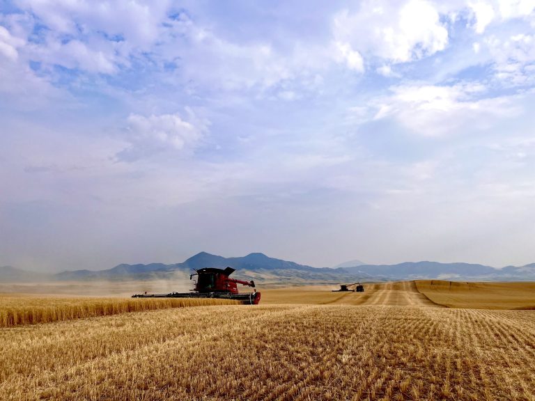 All Aboard Harvest