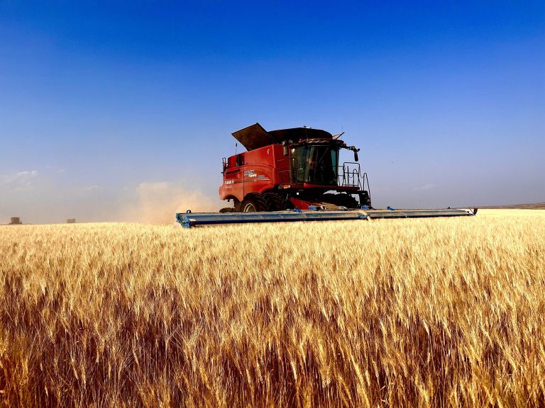 All Aboard Harvest