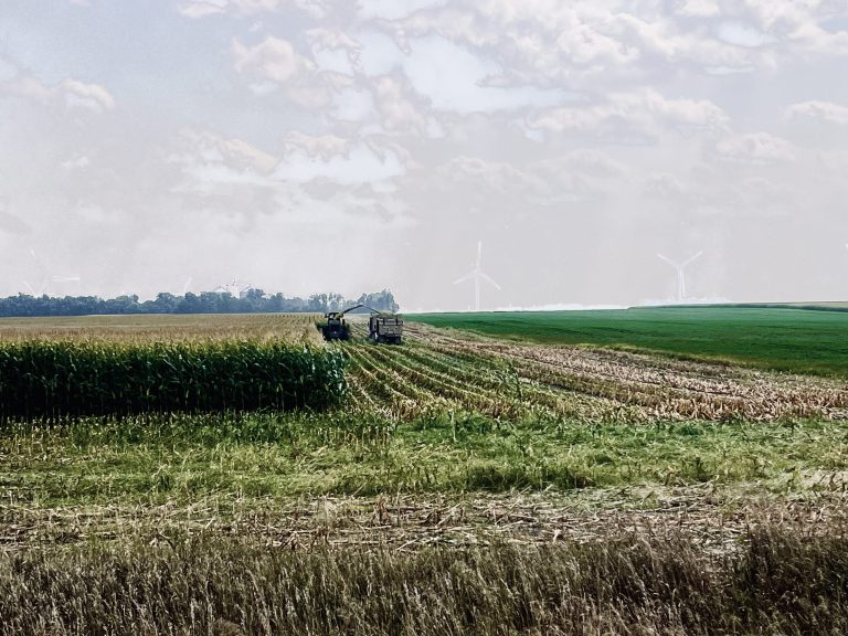 All Aboard Harvest