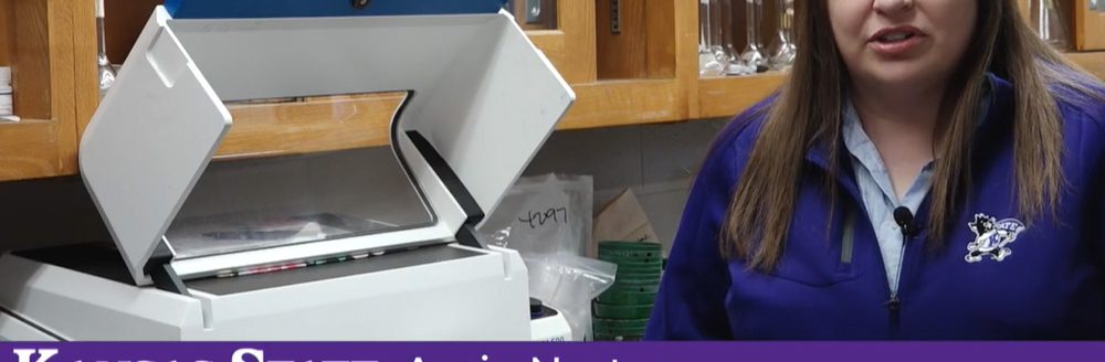 Kansas State University nano-entomologist Amie Norton describes a process in which researchers discovered alfalfa’s ability to detect contaminants in water and milk. (Kansas State University)