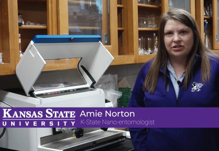 Kansas State University nano-entomologist Amie Norton describes a process in which researchers discovered alfalfa’s ability to detect contaminants in water and milk. (Kansas State University)