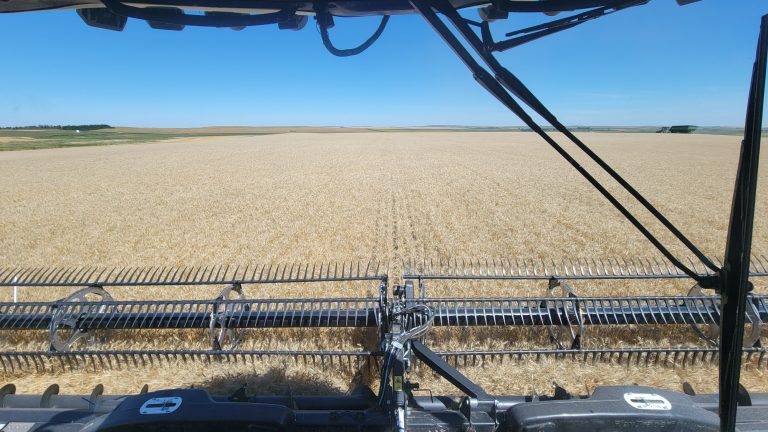 All Aboard Harvest