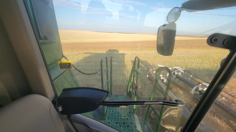 All Aboard Harvest